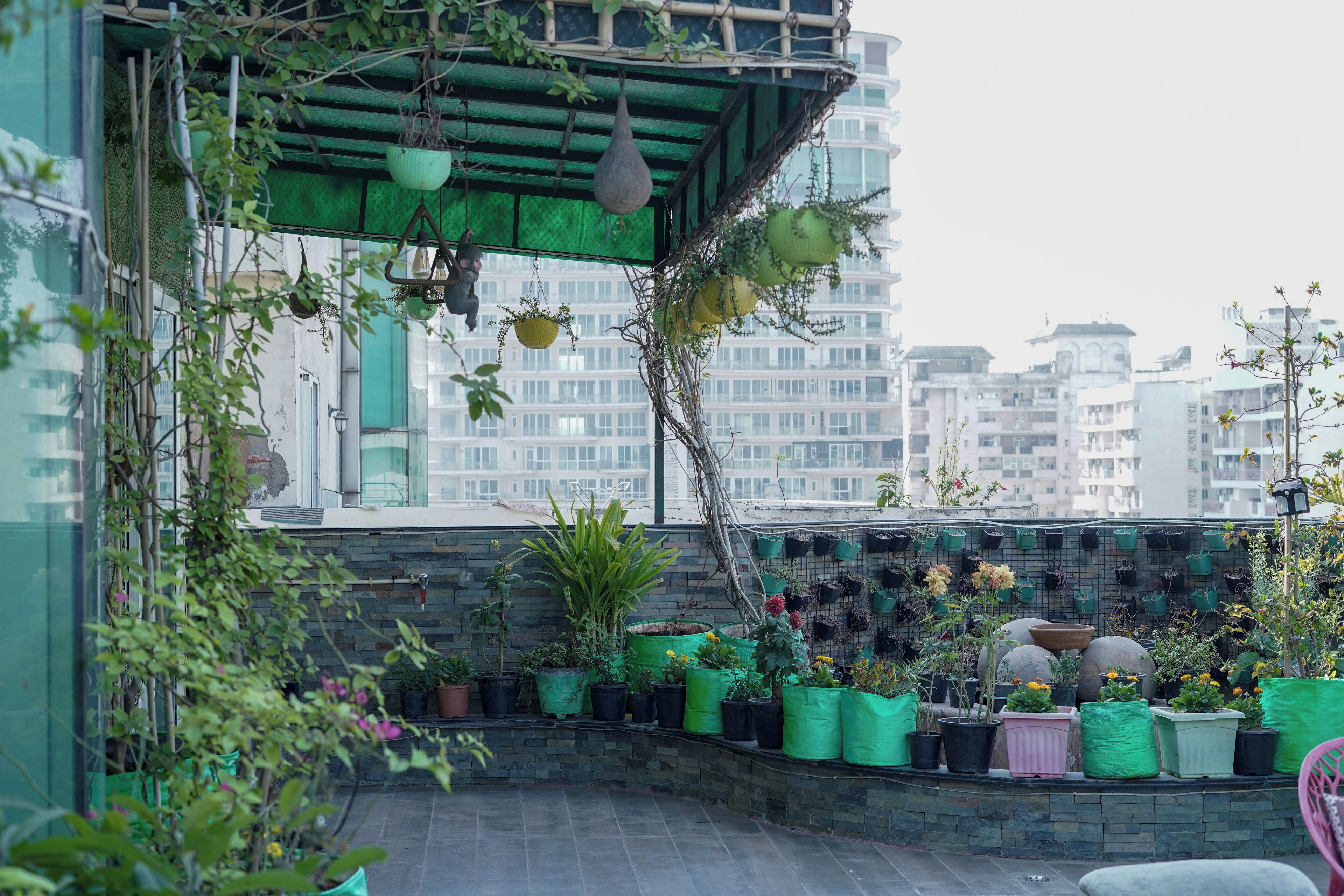 A rooftop garden with potted plants, hanging planters, and a view of surrounding buildings.