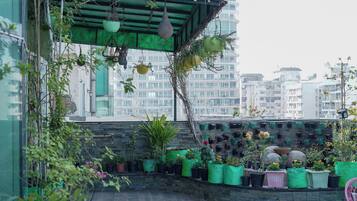 A rooftop garden with potted plants, hanging planters, and a view of surrounding buildings.