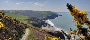 On the beach - Gervic Cottage, Llangrannog (Llangrannog)