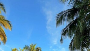 A two-story building with a flat roof, a front porch with steps, and a small front yard with grass and a palm tree. - Invito Beach Resort – A Bright, Beautiful Arabian Sea Stay (Kannur)