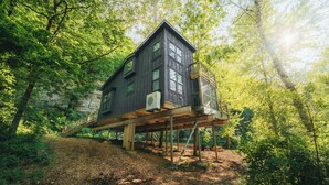 Ein Haus, das auf Stelzen in einem Wald steht.