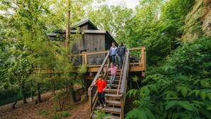 Eine Holztreppe führt zu einer Hütte, die von dichtem Wald umgeben ist.