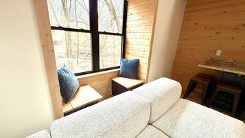 Smart TV, fireplace, books