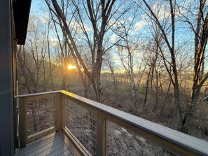 Property grounds - Treehouse 4 - Treehouses at Starved Rock (Ottawa)