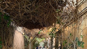 Un café al aire libre con bancos y mesas de madera, rodeado de enredaderas y plantas.
