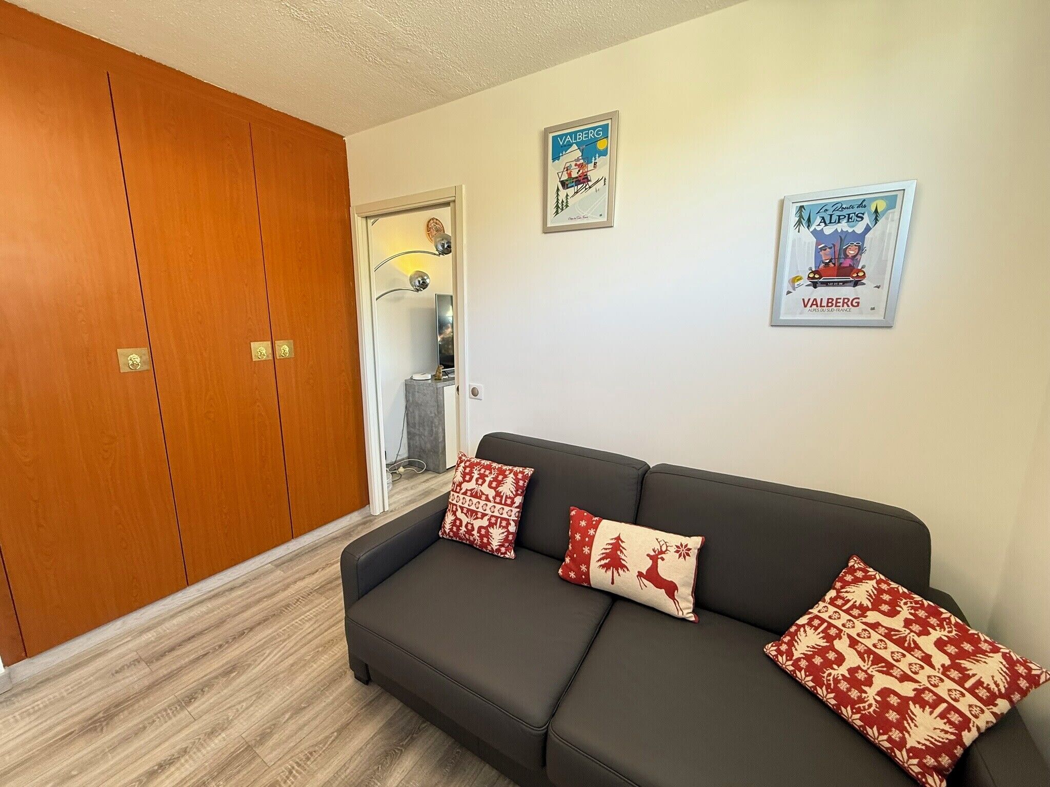 A modern living room with a dark grey sofa, two patterned throw pillows, and a wooden wardrobe.