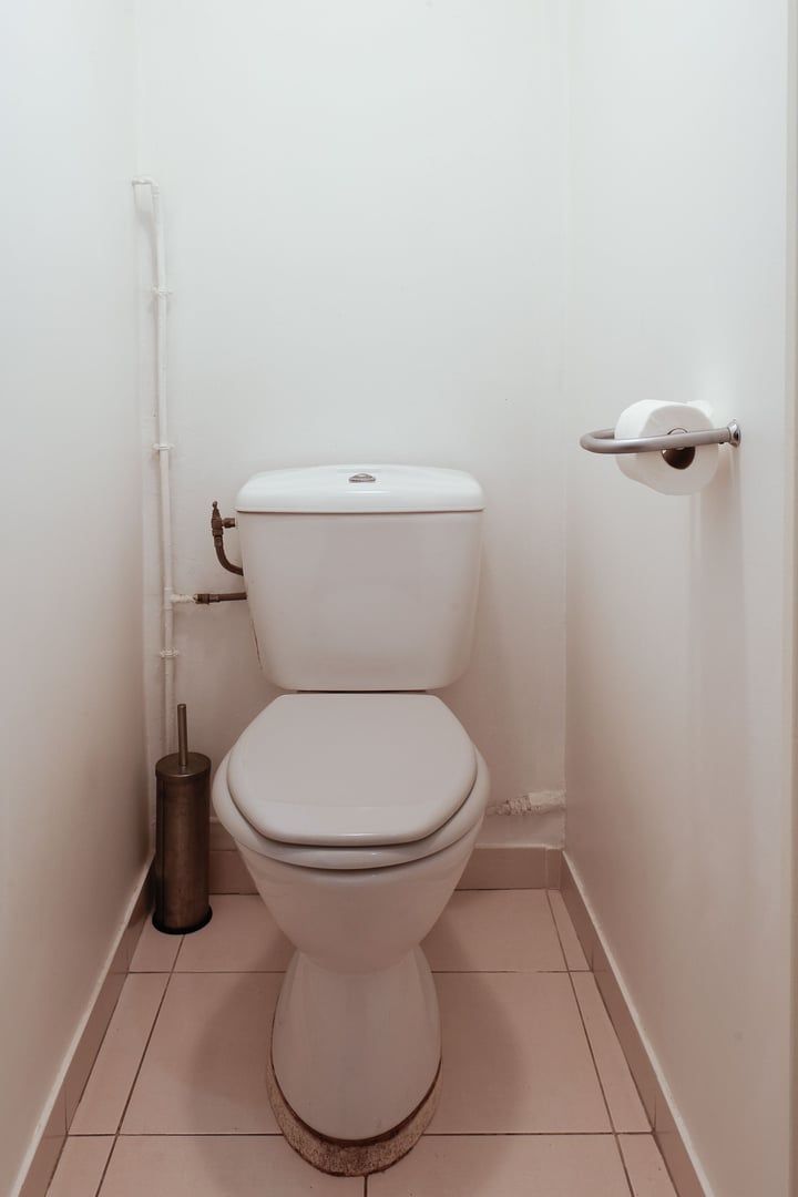 En vanlig vit toalett med en hållare för toalettpapper på väggen, en spolknapp och en bidetstråle.