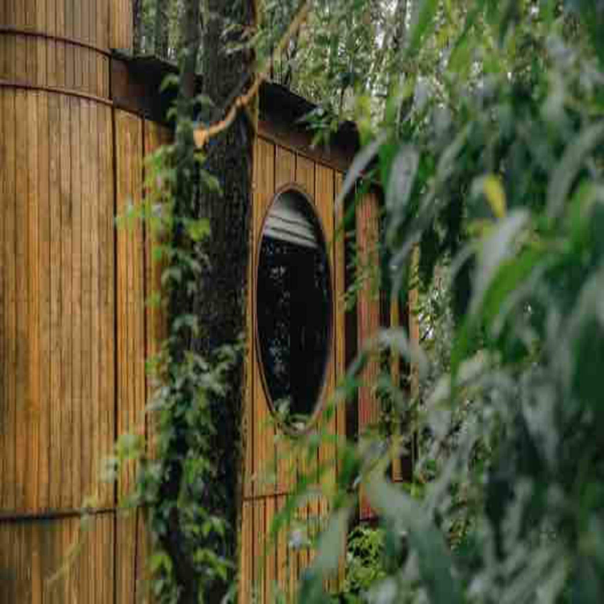 مدخل المنشأة