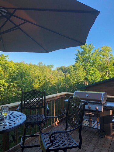 Adirondack Aerie on East Brook in St Regis Falls