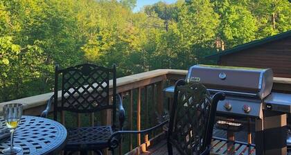 Adirondack Aerie on East Brook in St Regis Falls