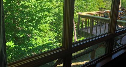 Adirondack Aerie on East Brook in St Regis Falls