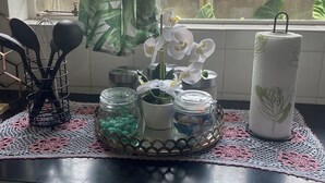 Una encimera de cocina con una bandeja decorativa, frascos, una planta en maceta y un rollo de toallas de papel.