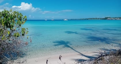 RANGIROA - Fare Aimeo