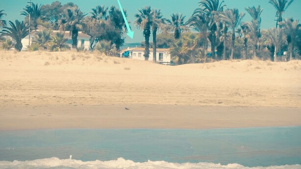 Ein Strand mit Palmen und einem Gebäude im Hintergrund.
