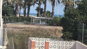 Blick auf eine Küstenlandschaft mit Palmen und einem Strand im Hintergrund.