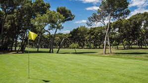 Ein Golfplatz mit Fahnenstock auf dem Grün, umgeben von Bäumen.