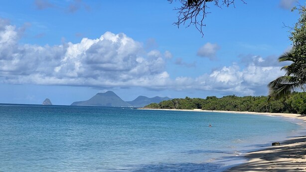 A beach with clear blue water, a sandy shore, and a backdrop of mountains and dense greenery. - Cocon Tropical (Sainte-Anne)