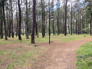 Property grounds