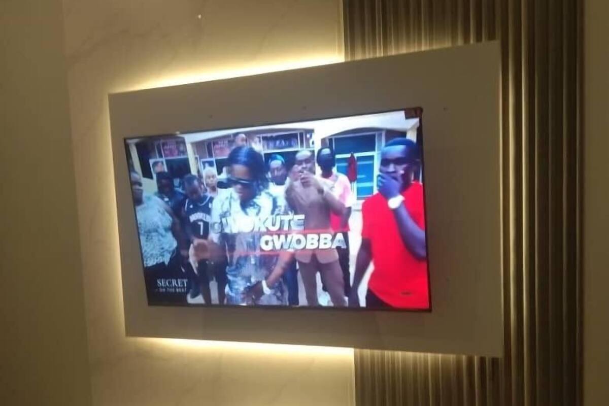 واي فاي مجانًا