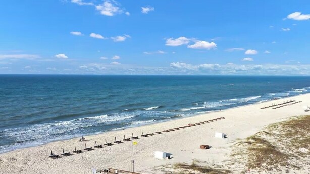 A beach with a row of beach chairs and umbrellas, a sandy shore, and the ocean. - The Coastal Turtle - Modern Beach Front Retreat (Gulf Shores)