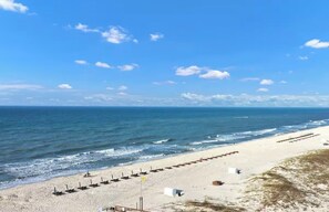 A beach with a row of beach chairs and umbrellas, a sandy shore, and the ocean. - The Coastal Turtle - Modern Beach Front Retreat (Gulf Shores)