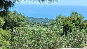 A stone wall with a view of a coastal landscape, including trees and a distant shoreline. - Apartmani Green Oasis - One Bedroom Apartment with Terrace and Sea View (Vis)