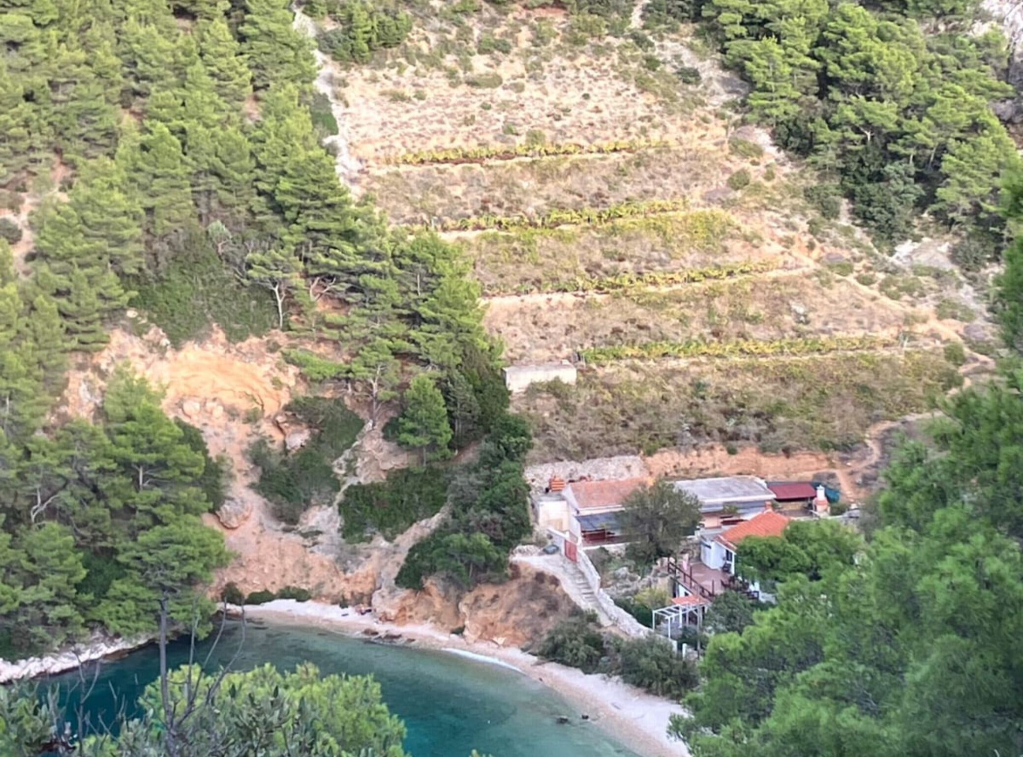 A coastal property with terraced vineyards, a beach, and a small building with a red roof.