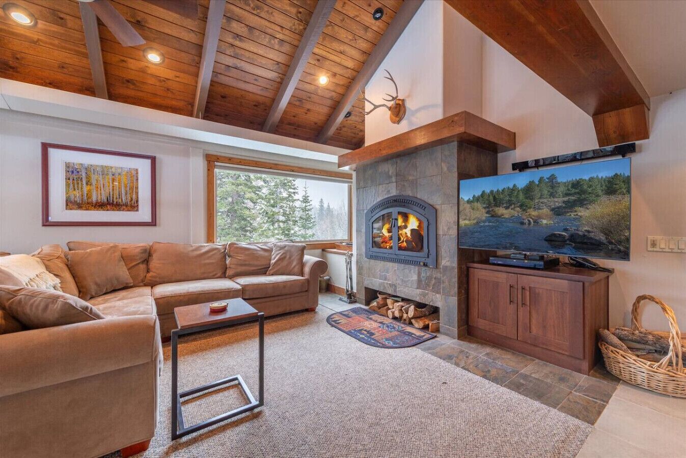 Télévision, cheminée, jeux vidéo, lecteur de DVD