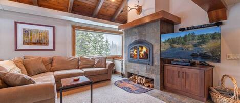 Télévision, cheminée, jeux vidéo, lecteur de DVD