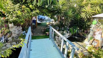 A garden pathway with a wooden deck, surrounded by various plants and a small pond.