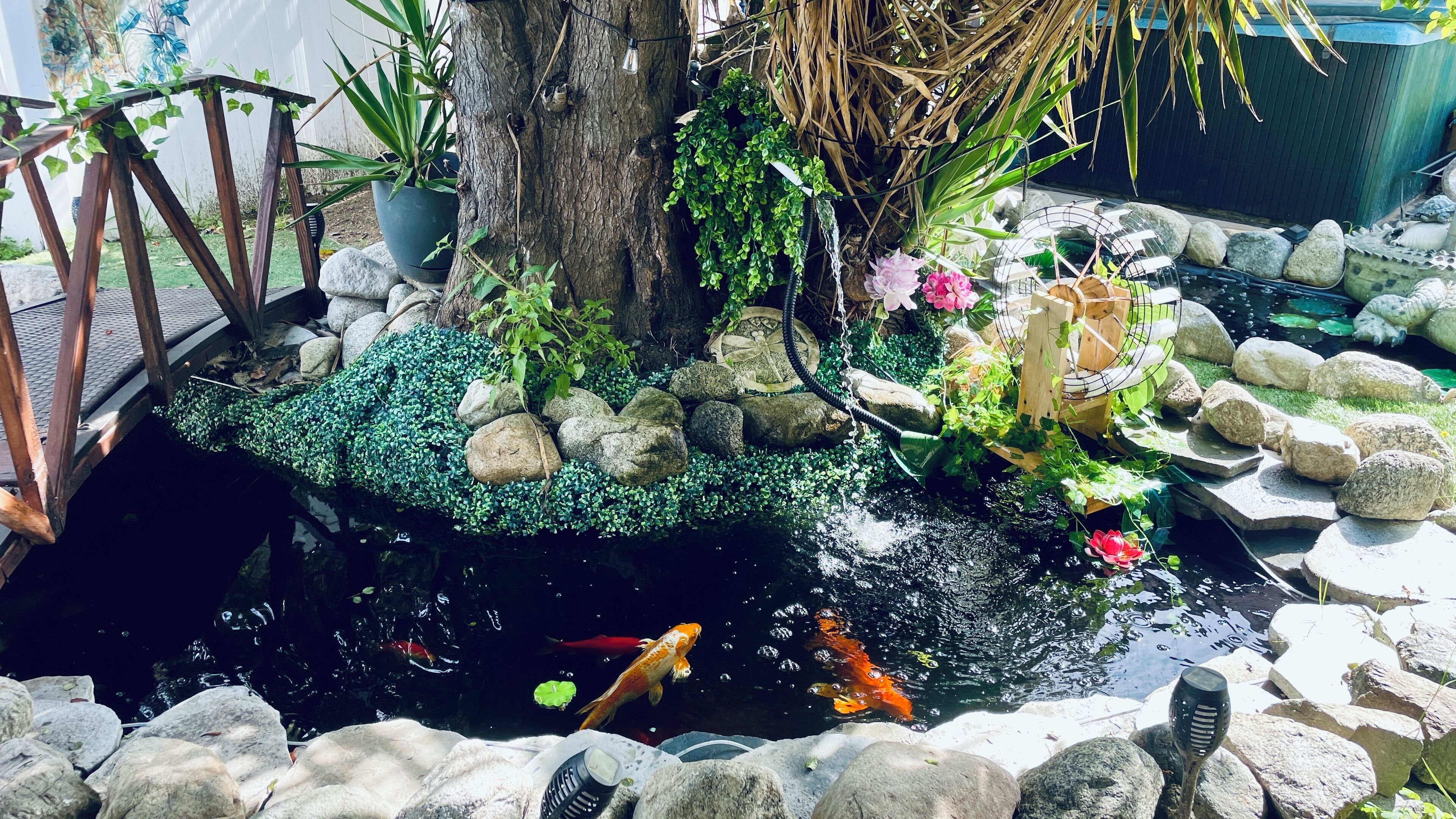 A koi pond with rocks, a wooden bridge, and various plants.