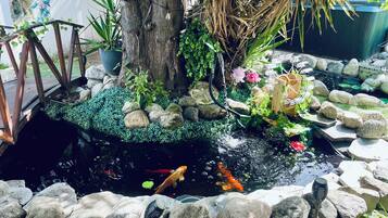 A koi pond with rocks, a wooden bridge, and various plants.