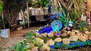 A garden with a pond, rocks, and various plants.