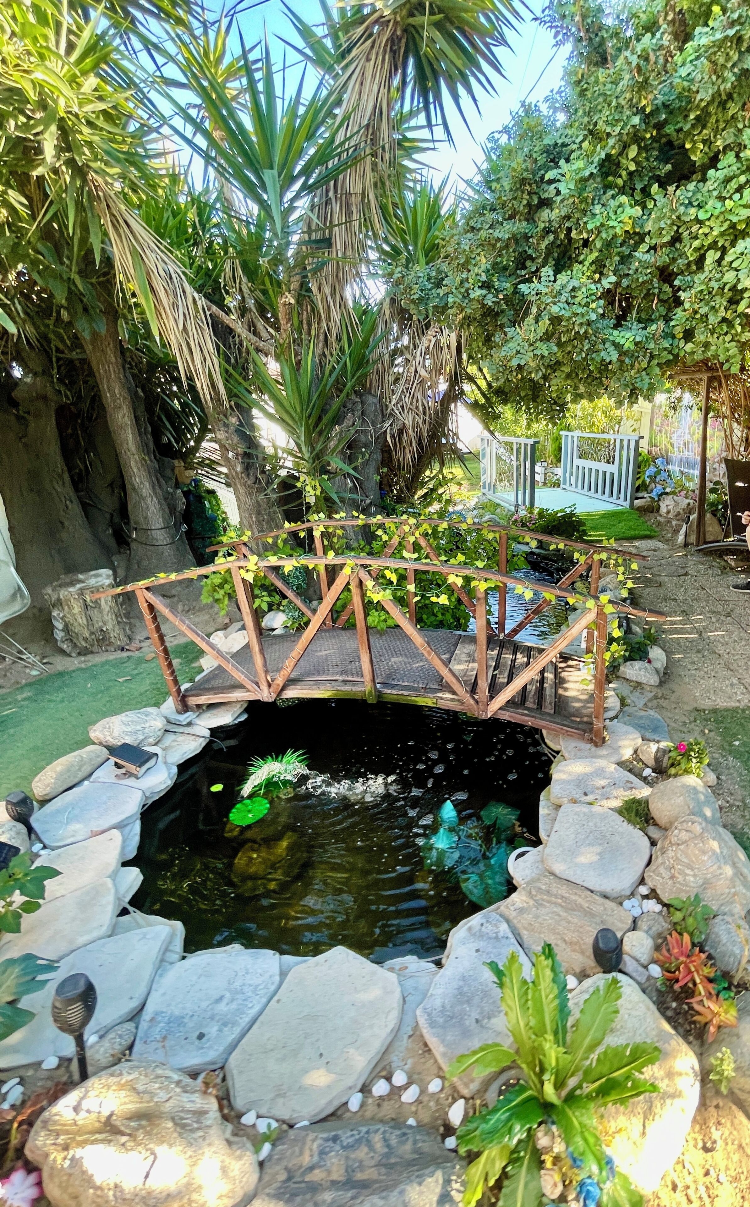 A garden with a wooden bridge over a pond, surrounded by rocks and plants.