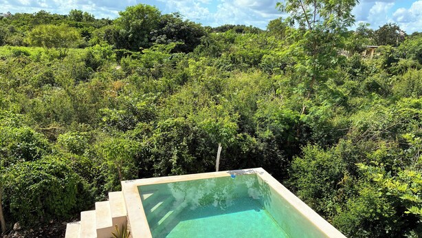 Ein quadratischer Pool im Freien, umgeben von üppiger Bepflanzung und einer Steintreppe, die zu ihm hinaufführt.