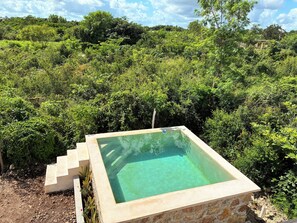 Une piscine extérieure de forme carrée, entourée d’une végétation luxuriante, et un escalier en pierre menant à la piscine.