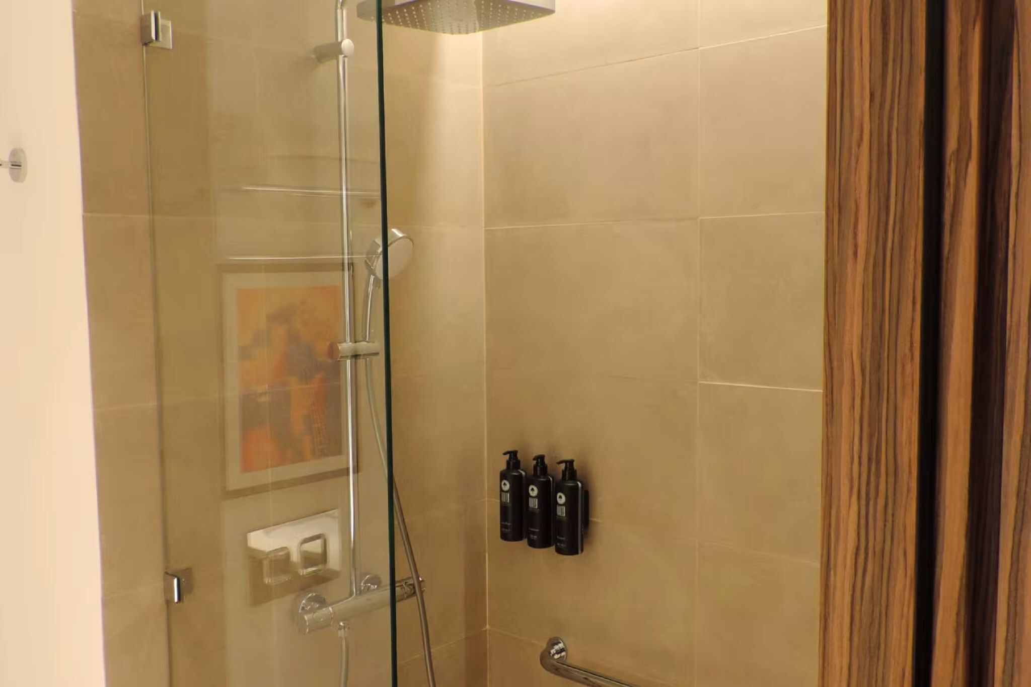 A glass-enclosed shower with a handheld showerhead, a towel rack, and three toiletry bottles on the wall.