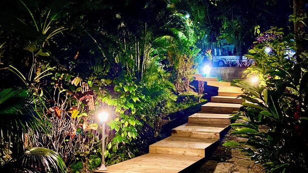 Un sentier en bois qui traverse un jardin la nuit, bordé d’une végétation luxuriante et illuminé par de petites lumières.