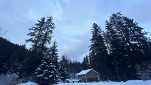 Uma cabana rodeada por altas árvores de folha perene numa paisagem coberta de neve.