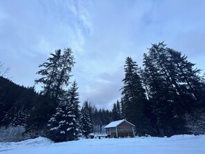 Exterior - Peaceful 2 Bedroom 2 Bath Bear Creek Family Retreat with River Views. Sleeps 8. (Seward)