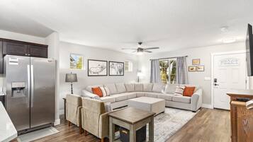 Smart TV, fireplace, books