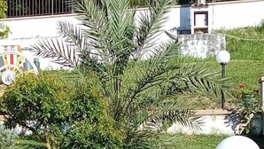 Ένας κήπος με μια παλμέρα, έναν φανό και μια φλοριέρα.