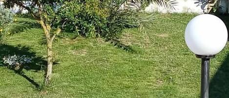 A garden with a palm tree, a lamp post, and a flower bed.