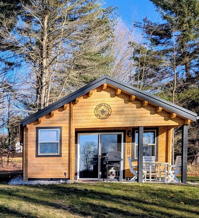 Cozy 2 Bedroom Cabin in Serene Bellaire/Alden with LakeViews-Bumbleebee Bungalow