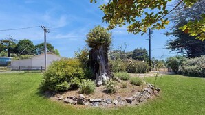 A landscaped garden with a central tree, surrounded by rocks and various shrubs. - Eco-Conscious Home with Spacious Yard & EV Charger (Fort Bragg)