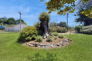 A landscaped garden with a central tree, surrounded by rocks and various shrubs. - Eco-Conscious Home with Spacious Yard & EV Charger (Fort Bragg)