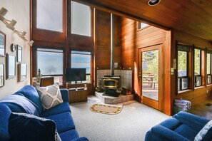 Televisión, chimenea y reproductor de DVD 