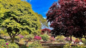 A garden with various trees and flowering plants. - Ocean View Apartment - Beach Access, Yard, Bikes (Fort Bragg)