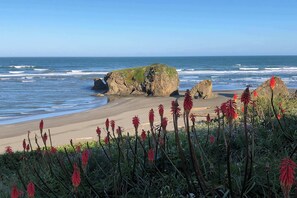 A beach with a large rock formation and red flowers in the foreground. - Ocean-View Manor with Large Yard, Walk to Beach (Fort Bragg)