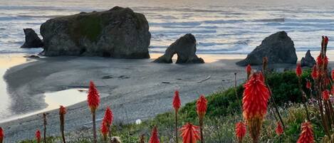 Playa en los alrededores
